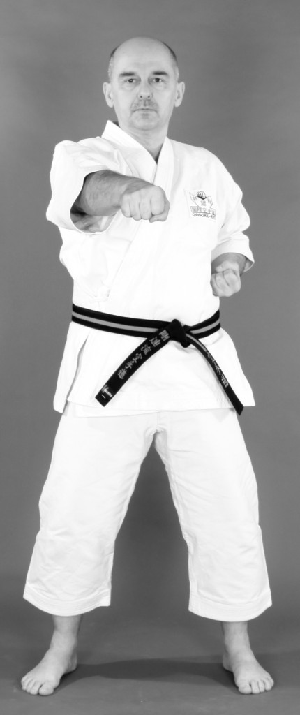 karate shotokan gosokuryu